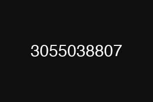 3055038807