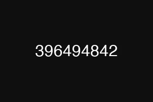 396494842