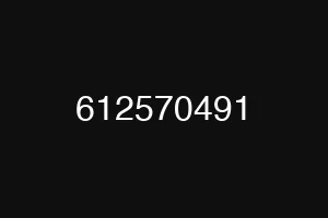 612570491