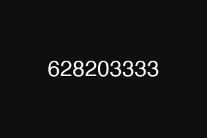 628203333