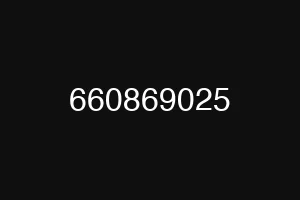 660869025