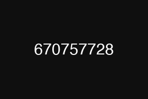 670757728