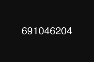 691046204