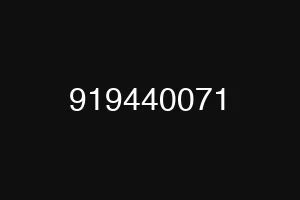 919440071