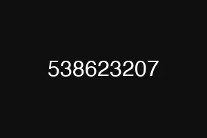 538623207