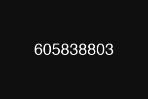 605838803