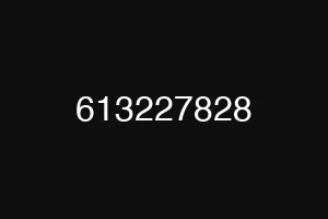 613227828