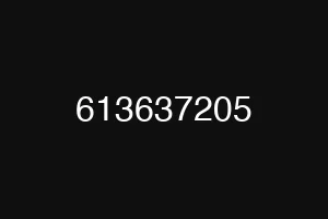 613637205