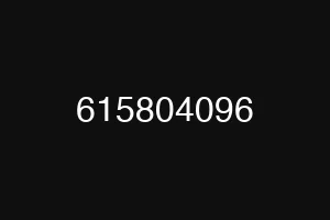 615804096