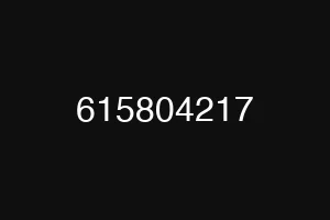 615804217