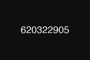 620322905