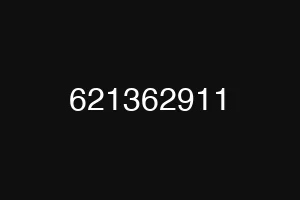 621362911