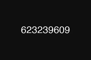 623239609