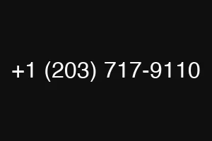 +1 (203) 717-9110