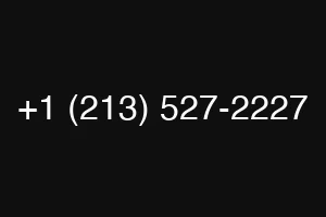 +1 (213) 527-2227
