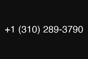 +1 (310) 289-3790