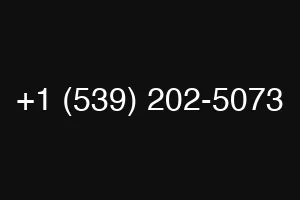 +1 (539) 202-5073