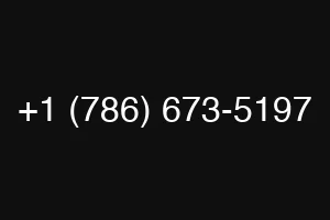 +1 (786) 673-5197