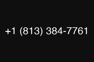 +1 (813) 384-7761