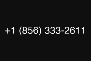 +1 (856) 333-2611