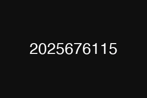2025676115