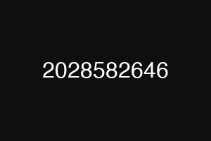 2028582646