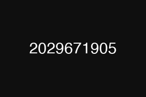 2029671905