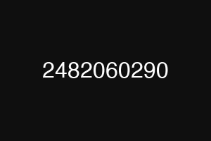 2482060290