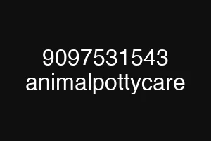 9097531543 animalpottycare
